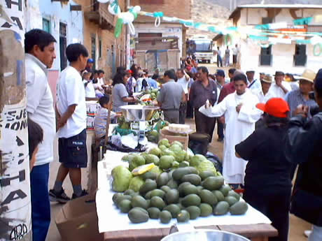 collo palta chirimoya 04