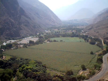 PETROGLIFOS DE CHECTA 05