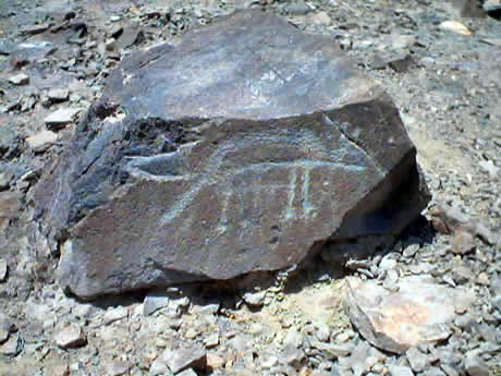 PETROGLIFOS DE CHECTA 13