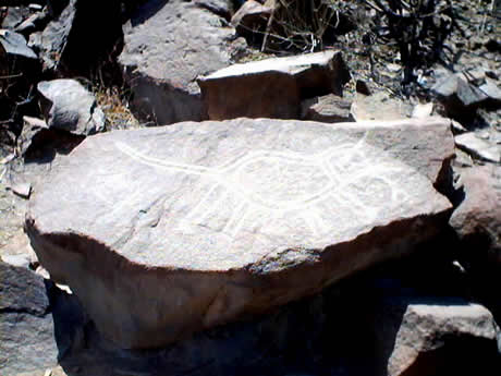 PETROGLIFOS DE CHECTA 05