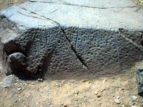 PETROGLIFOS DE CHECTA 25