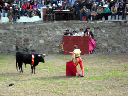 COSO TAURINO DE SANTA CATALINA 05