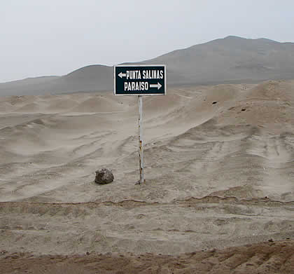 LAS SALINAS DE HUACHO 13