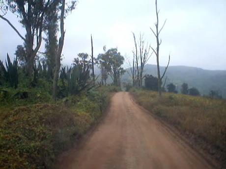 Las Lomas de Lachay