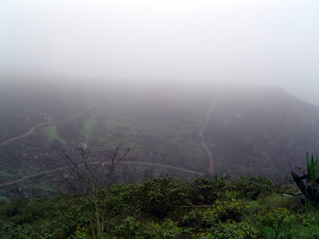 Las Lomas de Lachay