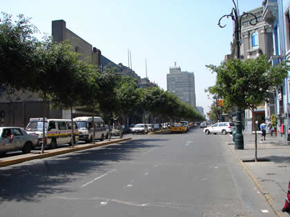 AVENIDA COLMENA 01