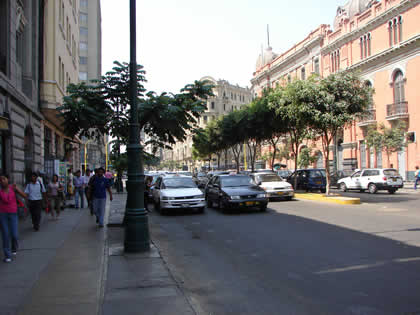 AVENIDA COLMENA 03