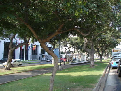 AVENIDA SALAVERRY 03