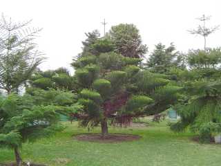 PARQUE DE LAS LEYENDAS JARDIN BOTANICO