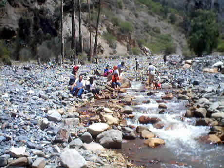 REFRESCANDOSE EN EL RIO