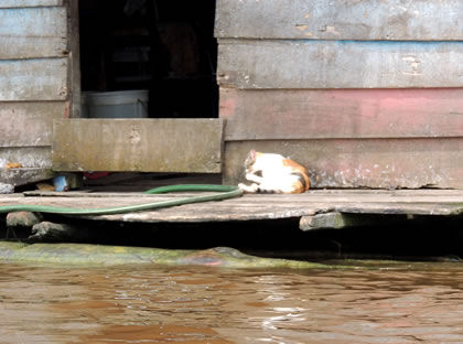 BARRIO DE BELEN EN BOTE 30