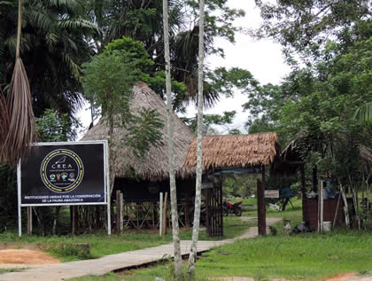 CENTRO DE RESCATE AMAZONICO 01