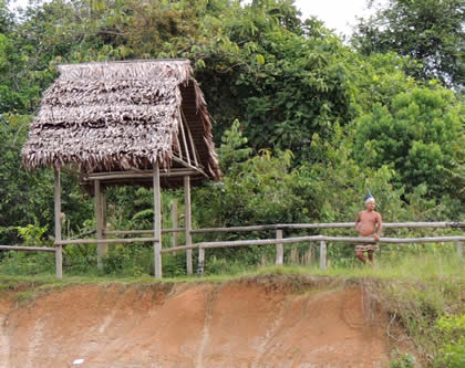 COMUNIDAD NATIVA DE LOS BORAS 04