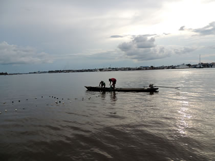 DELFIN ROSADO DEL AMAZONAS 03