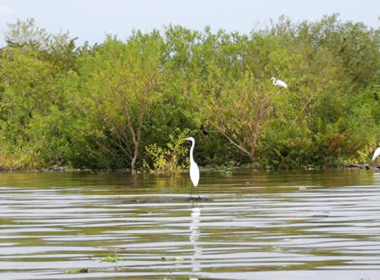 FOTOS DIVERSAS DE IQUITOS 38