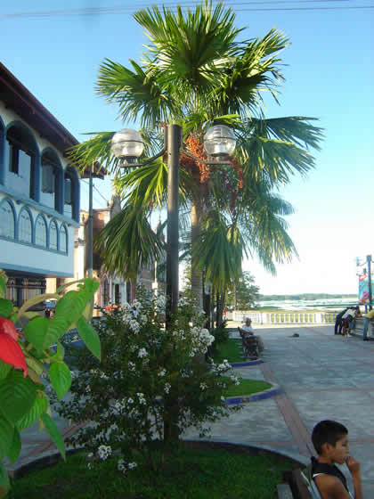 IQUITOS BOULEVARD 01