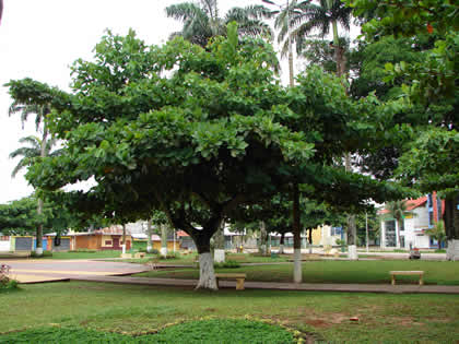 PLAZA DE ARMAS DE PUERTO MALDONADO 11