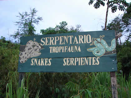 SERPENTARIO TROPIFAUNA 01