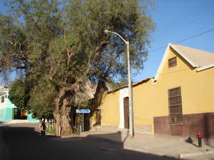 BODEGA NORVILL - MUSEO REGIONAL ENOGRAFICO 01