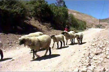 OTORA MUNICIPALIDAD DE TORATA 01