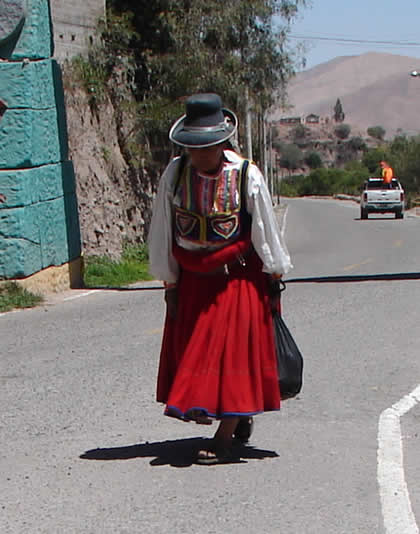 TRAJE TIPICO MOQUEGUA 01