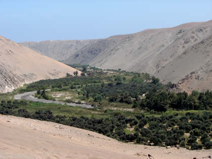 VALLE EL ALGARROBAL 01