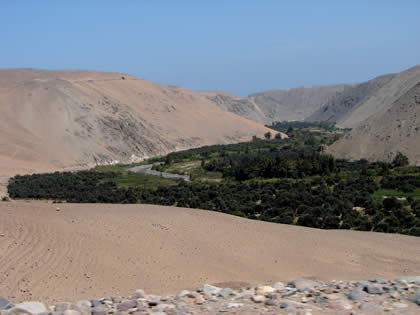 VALLE EL ALGARROBAL 02