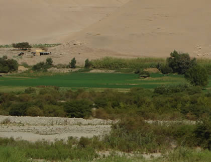 VALLE MOQUEGUA 07