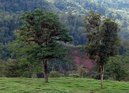 EL BOSQUE TSHO'LLET 10