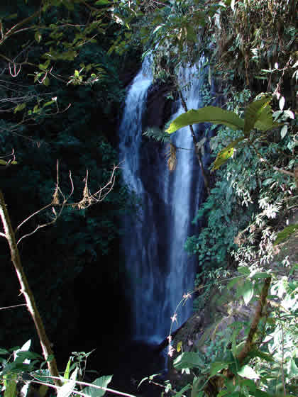 CATARATA DEL RIO TIGRE 01