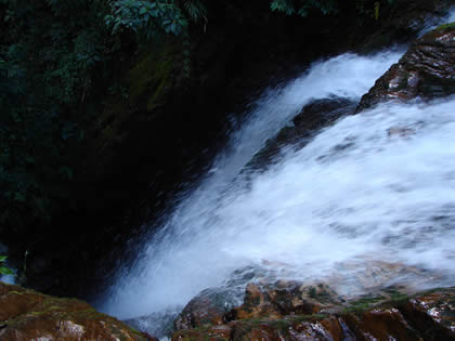 CATARATA DEL RIO TIGRE 02