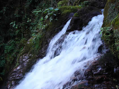 CATARATA DEL RIO TIGRE 03