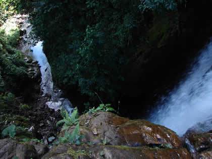 CATARATA DEL RIO TIGRE 04