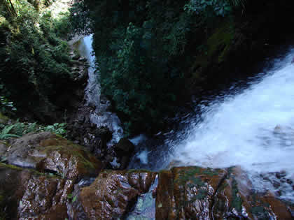 CATARATA DEL RIO TIGRE 05