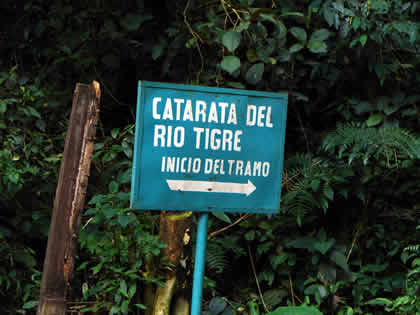 CATARATA DEL RIO TIGRE 07