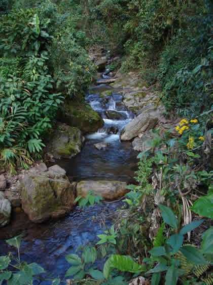 CATARATA DEL RIO TIGRE 09