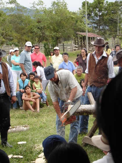 CORTE CON MOTOSIERRA 04