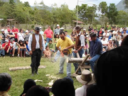 CORTE CON MOTOSIERRA 08