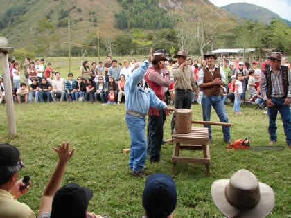 CORTE DE TRONCOS CON TROZADORA 04