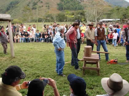 CORTE DE TRONCOS CON TROZADORA 05