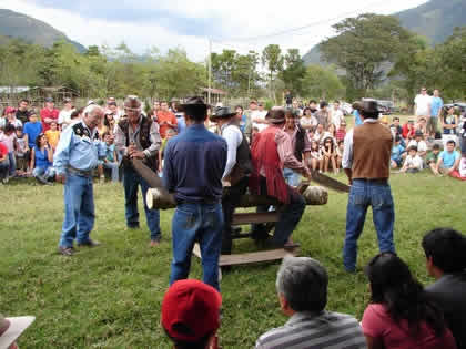 CORTE DE TRONCOS CON TROZADORA 06