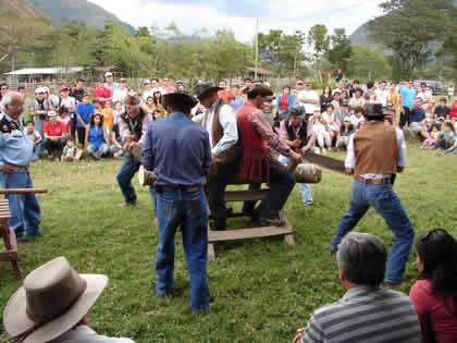 CORTE DE TRONCOS CON TROZADORA 08