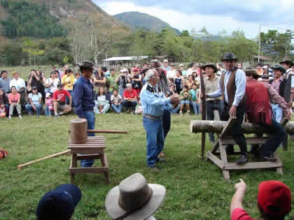 CORTE DE TRONCOS CON TROZADORA 10