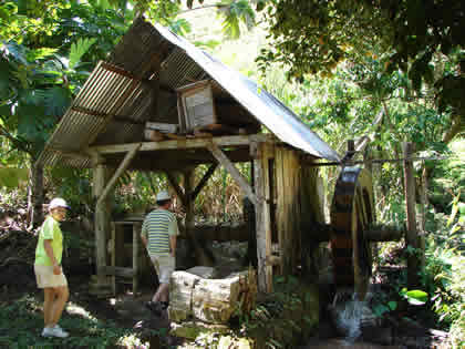 EL TRAPICHE DE LA FAMILIA SCHULER 11