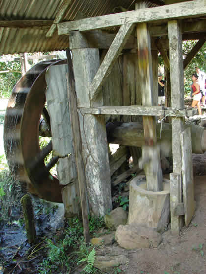 EL TRAPICHE DE LA FAMILIA SCHULER 13