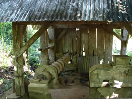 EL TRAPICHE DE LA FAMILIA SCHULER 14