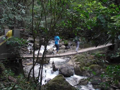 PARQUE NACIONAL YANACHAGA CHEMILLEN PUESTO DE CONTROL HUAMPAL 04