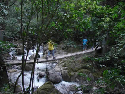 PARQUE NACIONAL YANACHAGA CHEMILLEN PUESTO DE CONTROL HUAMPAL 05