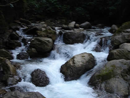 PARQUE NACIONAL YANACHAGA CHEMILLEN PUESTO DE CONTROL HUAMPAL 06