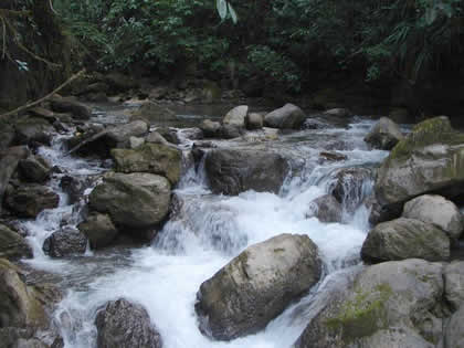 PARQUE NACIONAL YANACHAGA CHEMILLEN PUESTO DE CONTROL HUAMPAL 08